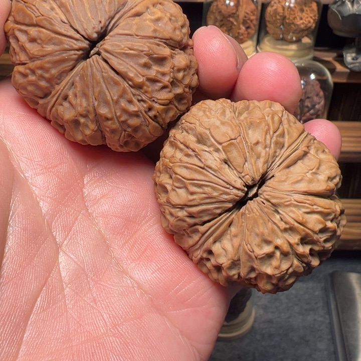 文玩核桃把件中国大狮子47mm