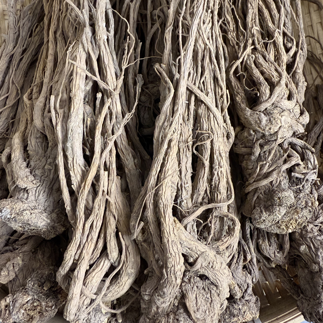 当归250g 大别山老乡深山自采下山货