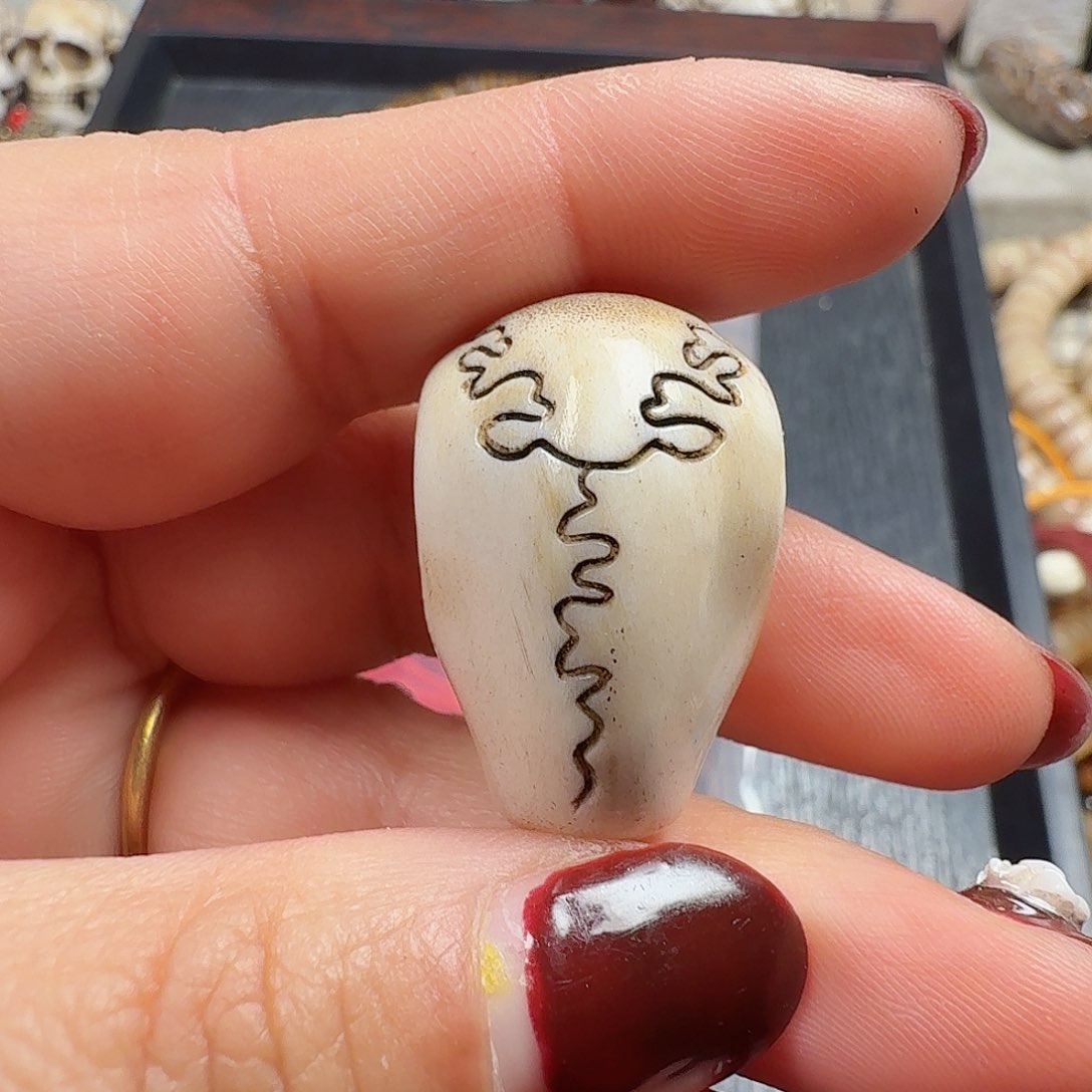 鹿骨其他00000000000216