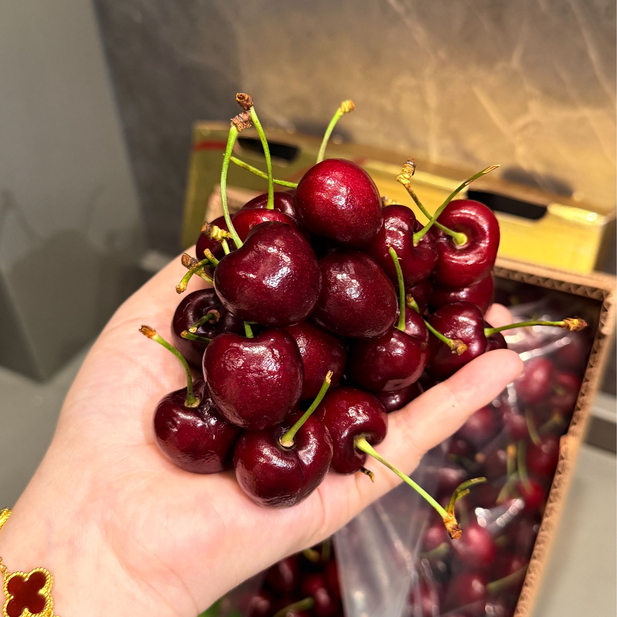 牛牛空运智利车厘子—产地原装箱净重  5斤 10斤  JD JJD桑提娜智利