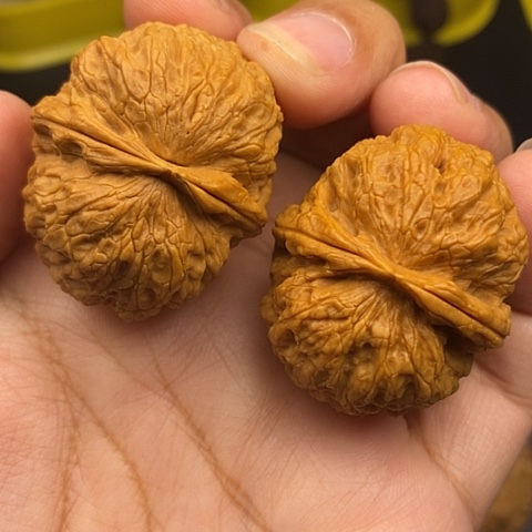 文玩核桃把件38尺铁狮子