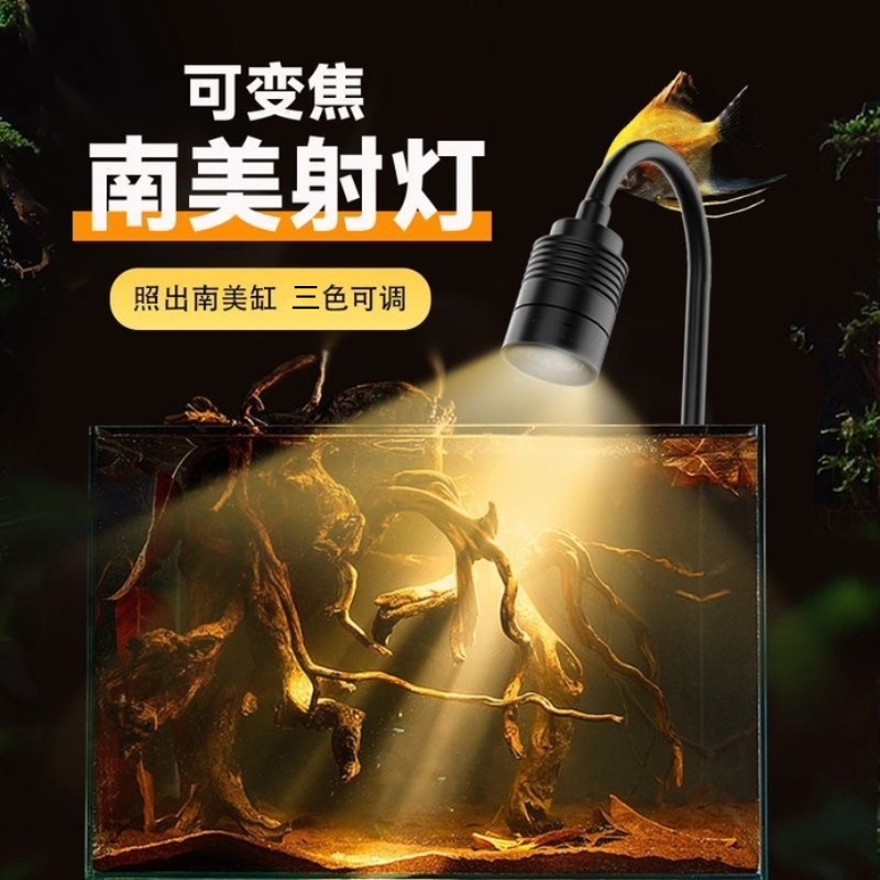 南美射灯