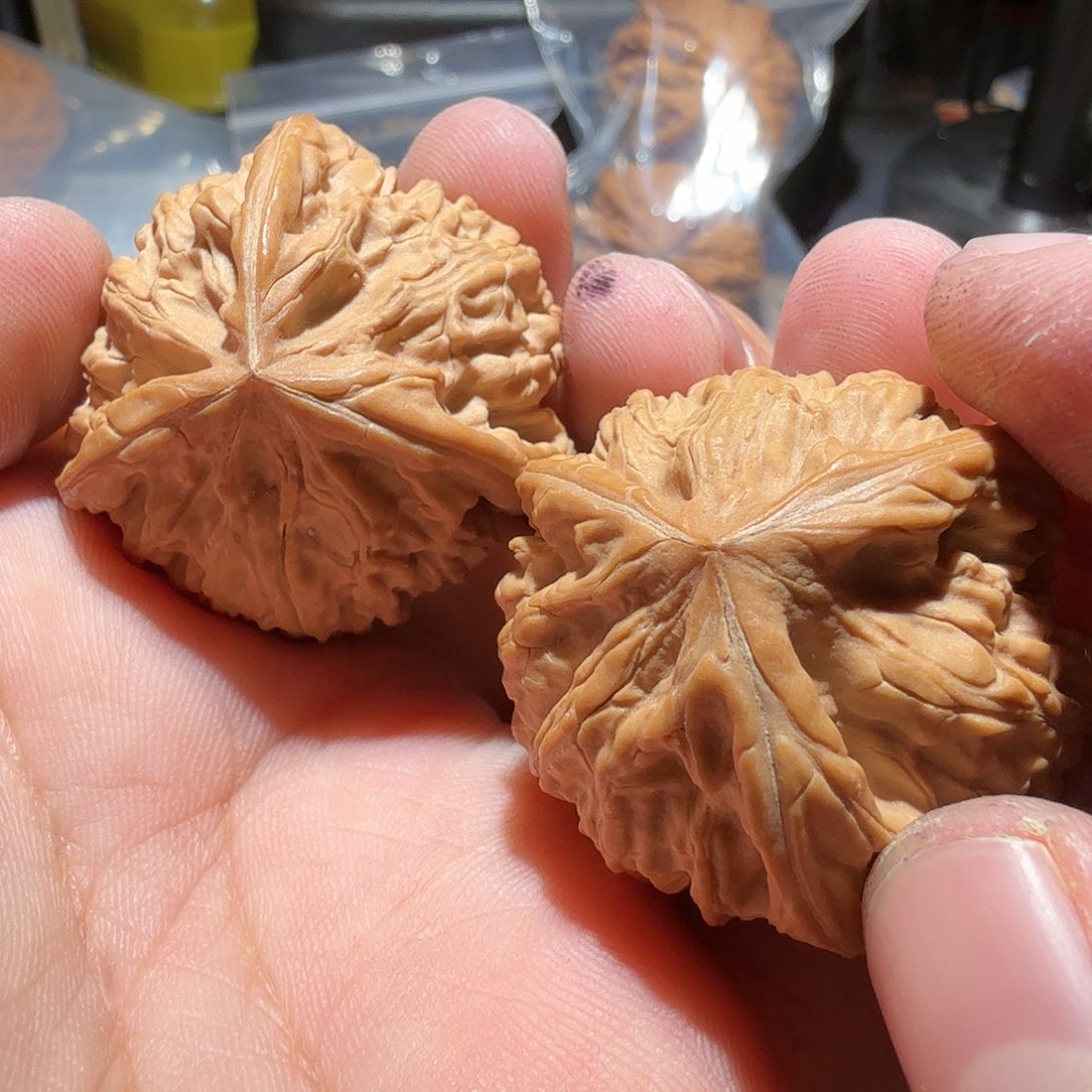 文玩核桃把件御龙