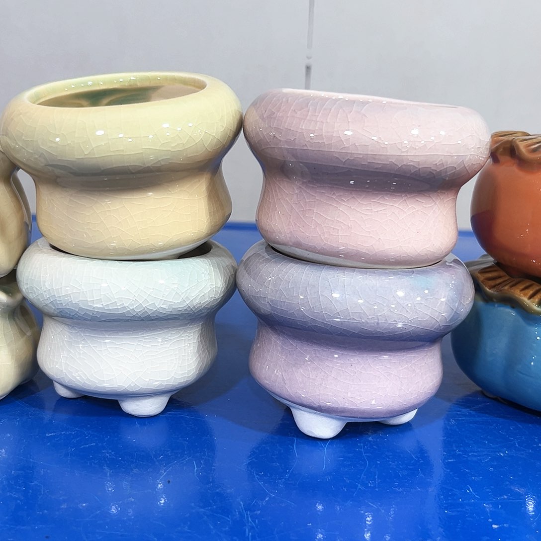 花盆花盆花盆花盆花盆花盆花盆花盆