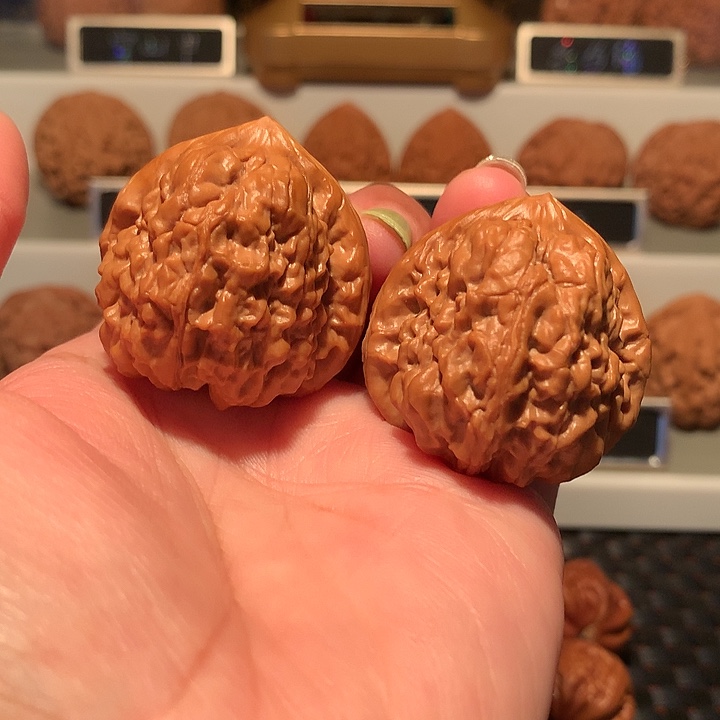 文玩核桃把件魔蟾