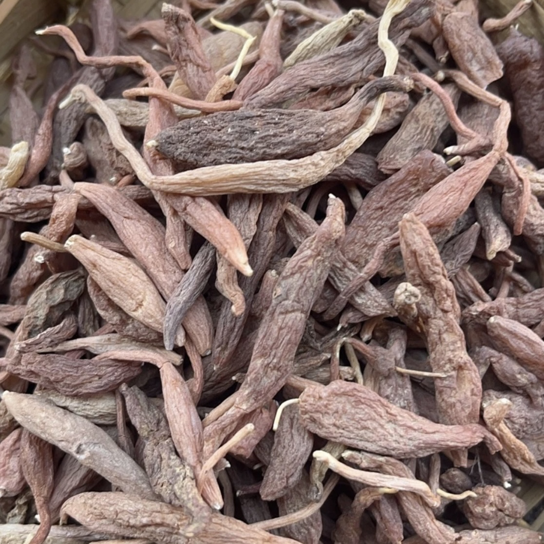 中缅农品-火山红皮麦冬