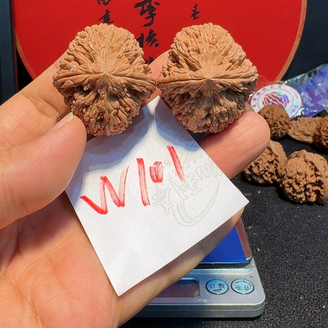 文玩核桃把件40肚大蒜头