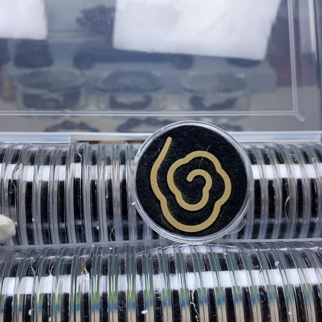 木柬埔寨盘香 64片 随机发货