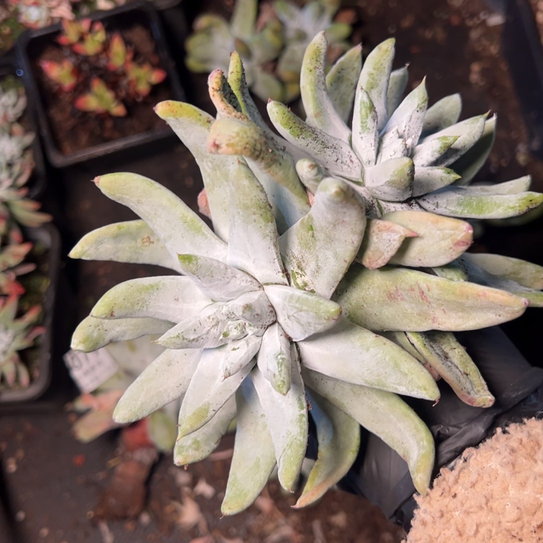 5082哈哈哈哈哈哈哈哈