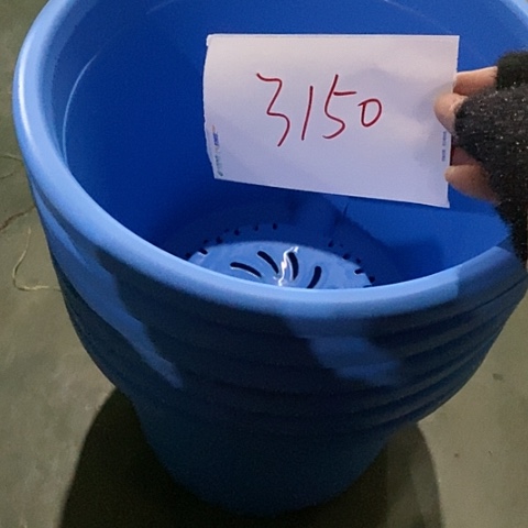 树脂编号3150微瑕