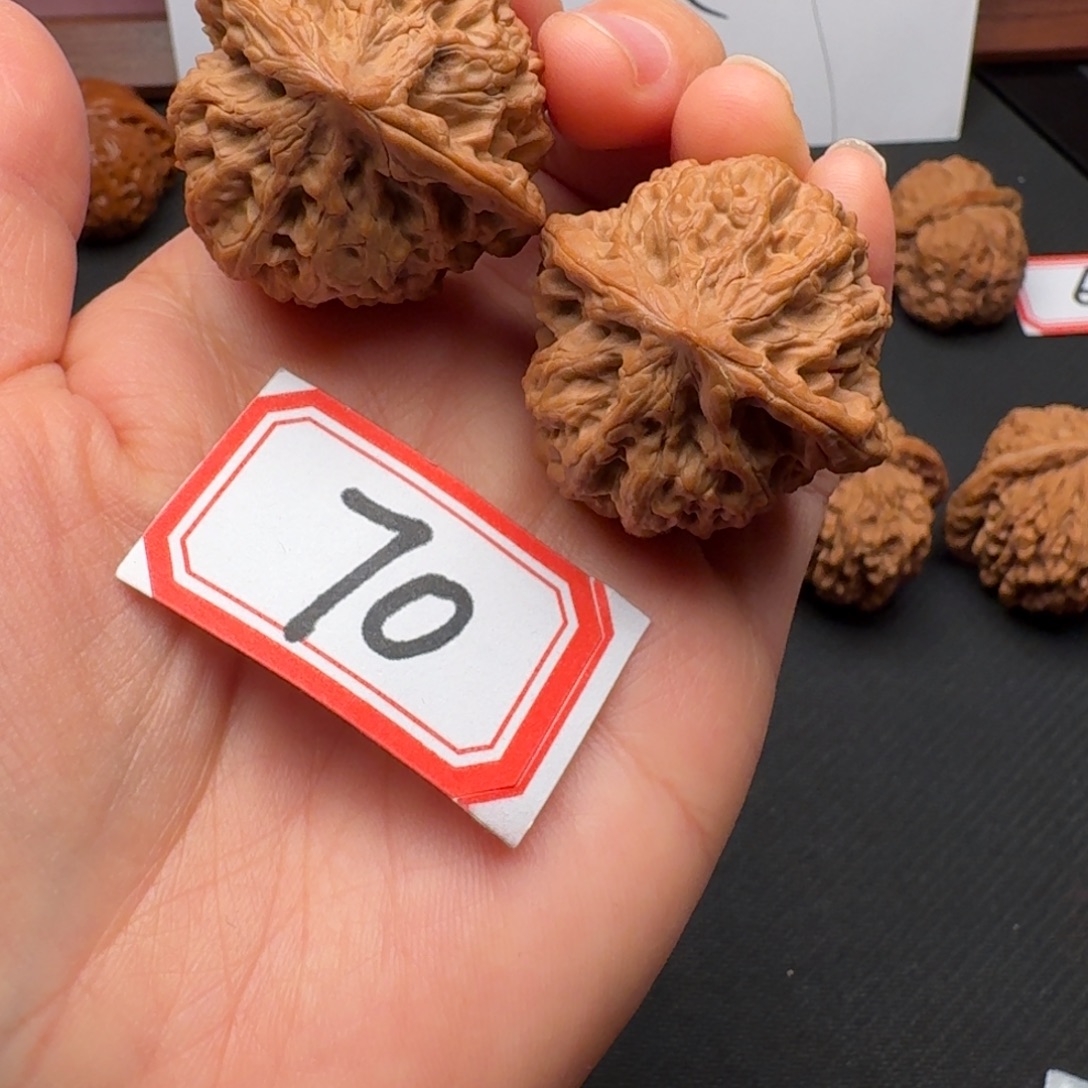 吊坠文玩核桃全品38尺野牛