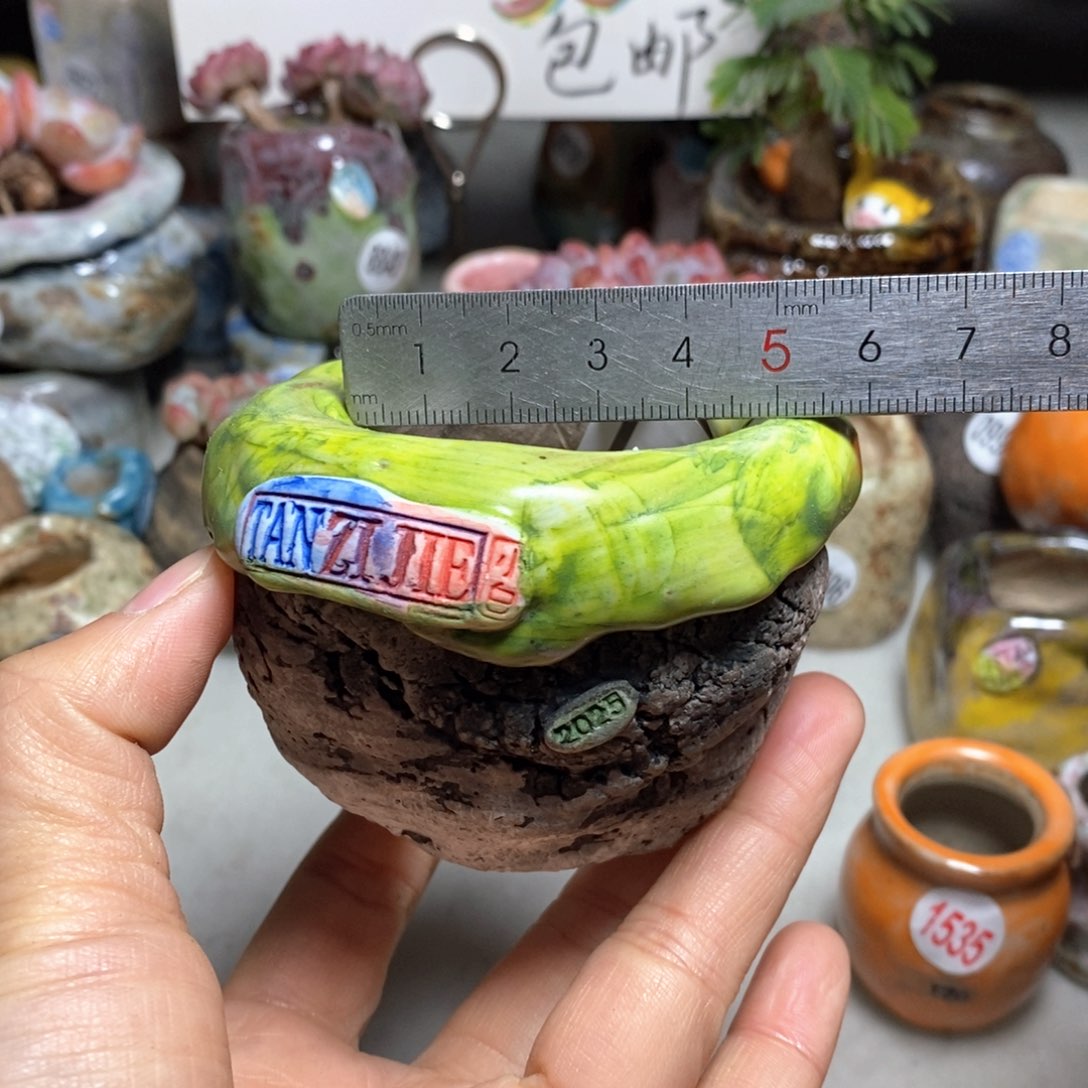 双12活动花盆不退不换，原78