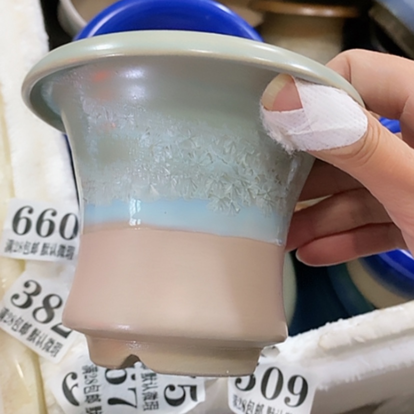 【闪购商品】红陶口9.5