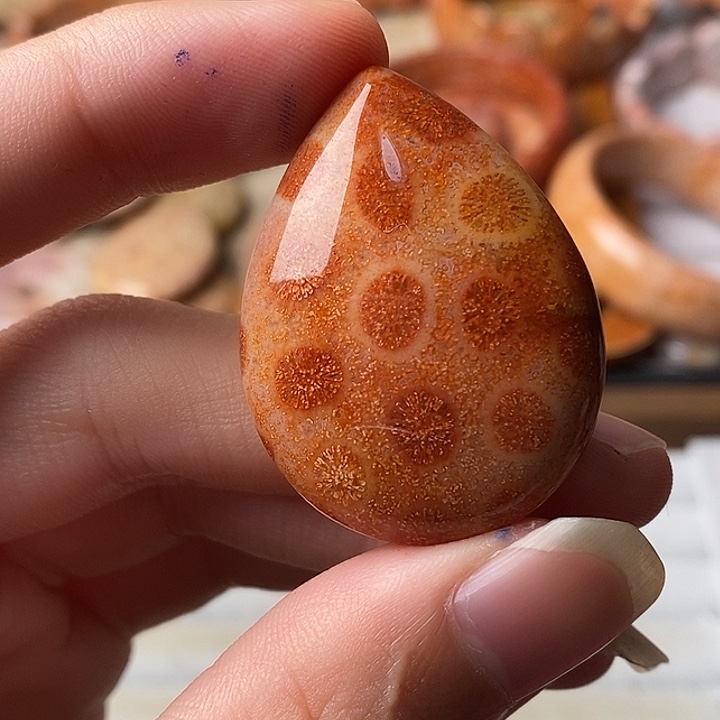 松***涛硅化珊瑚未镶嵌颈饰