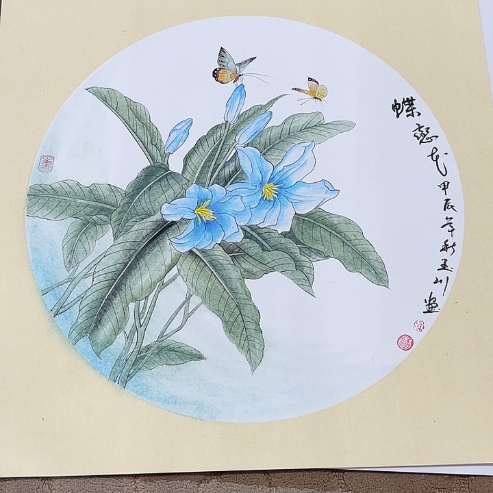 国画花鸟等多种鸟类和鸟类50.50