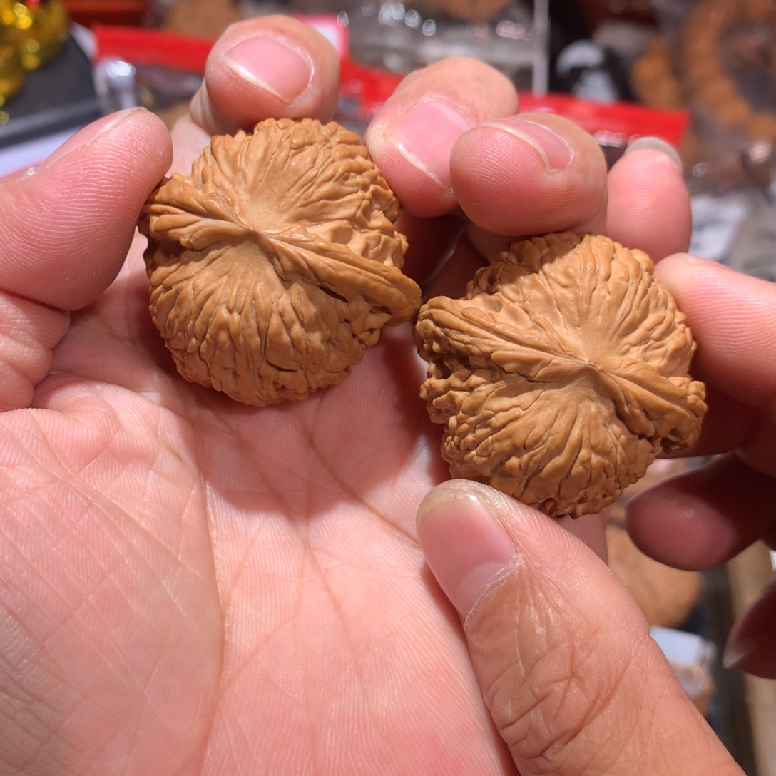 文玩核桃把件40白狮子