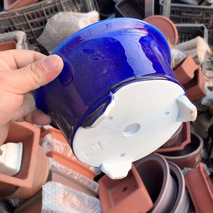 紫砂没有那么重要的人的生活