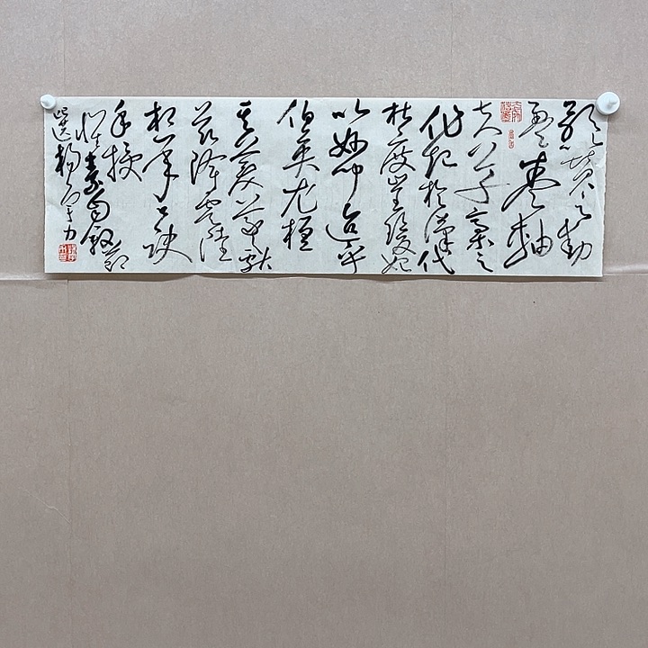 书法杨宇力 25*74㎝浙江  三届届展