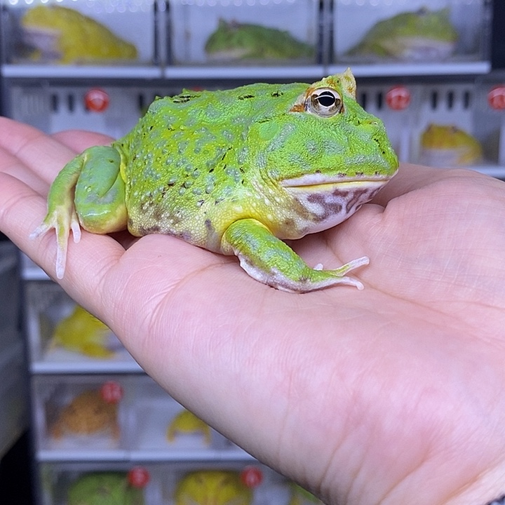 特价秒杀现货供应