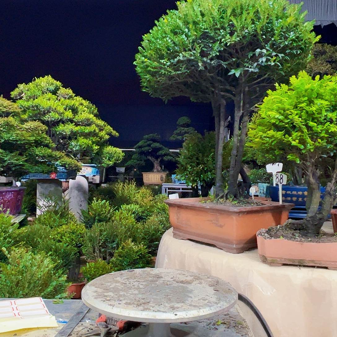 以实际为准?****.