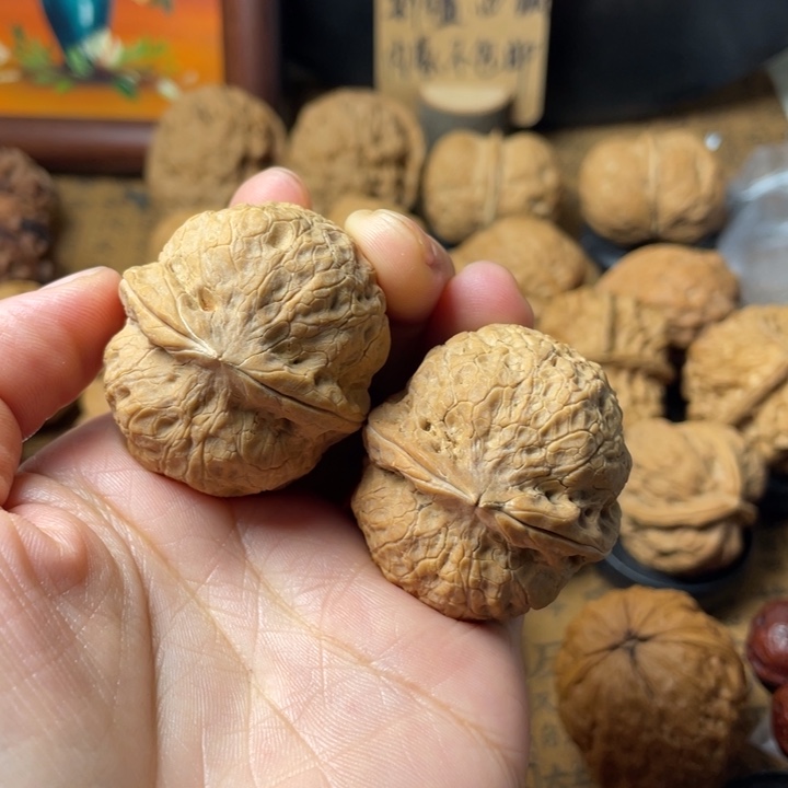 豆***精云南野生铁核桃编号128