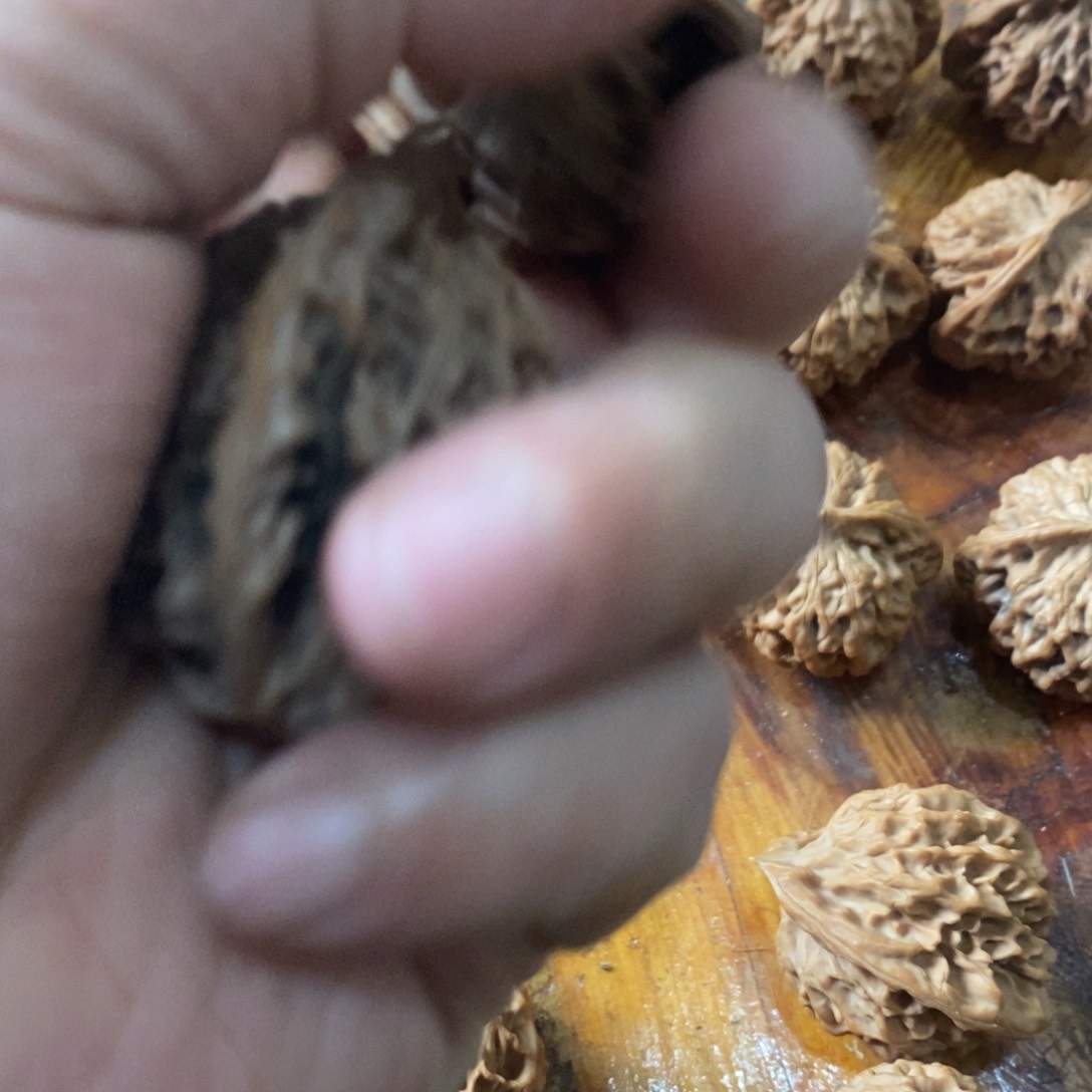 暖**丶秦岭南侧和东北北部分别位于