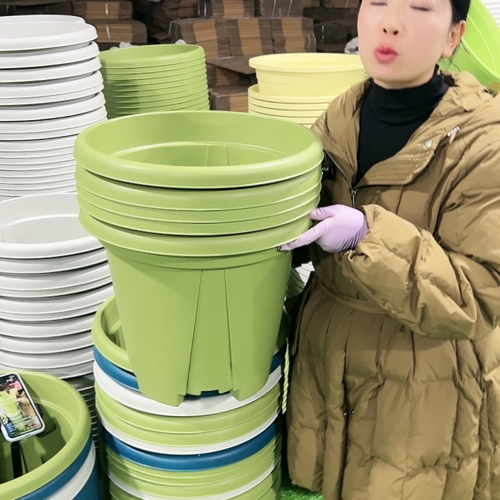 清仓青山口40高34果绿5只无托