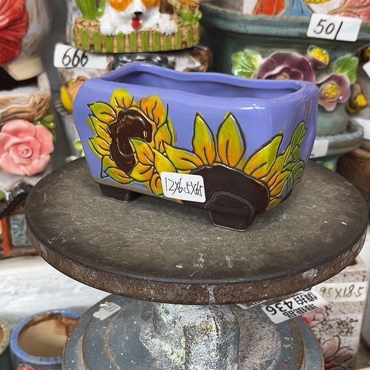 粗陶材质多肉花盆