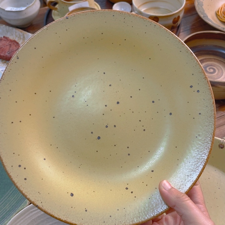 景德镇陶瓷学院副院长兼