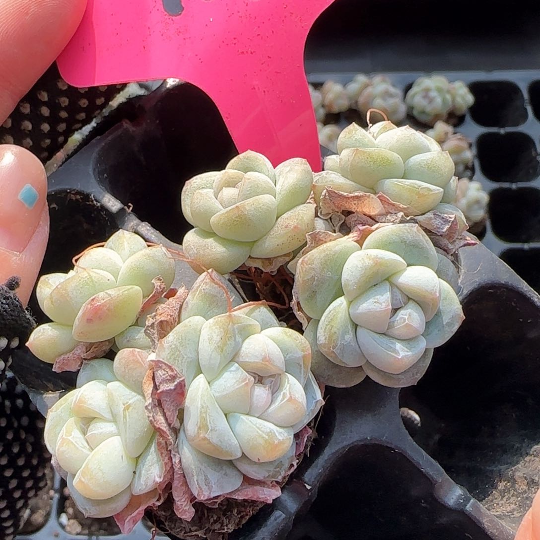 137哈哈哈哈哈哈哈哈哈