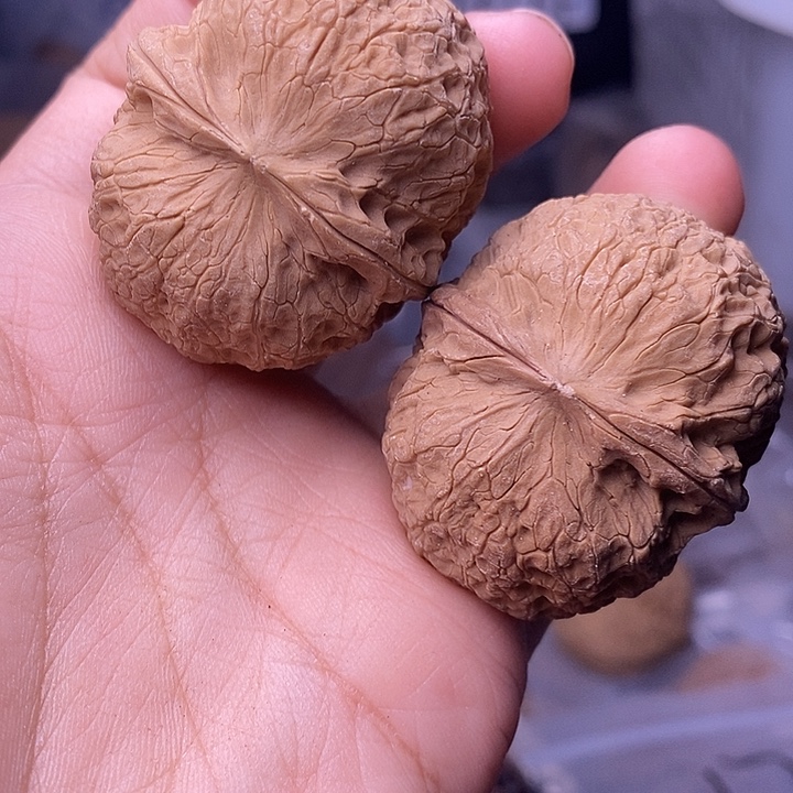 文玩核桃把件    245