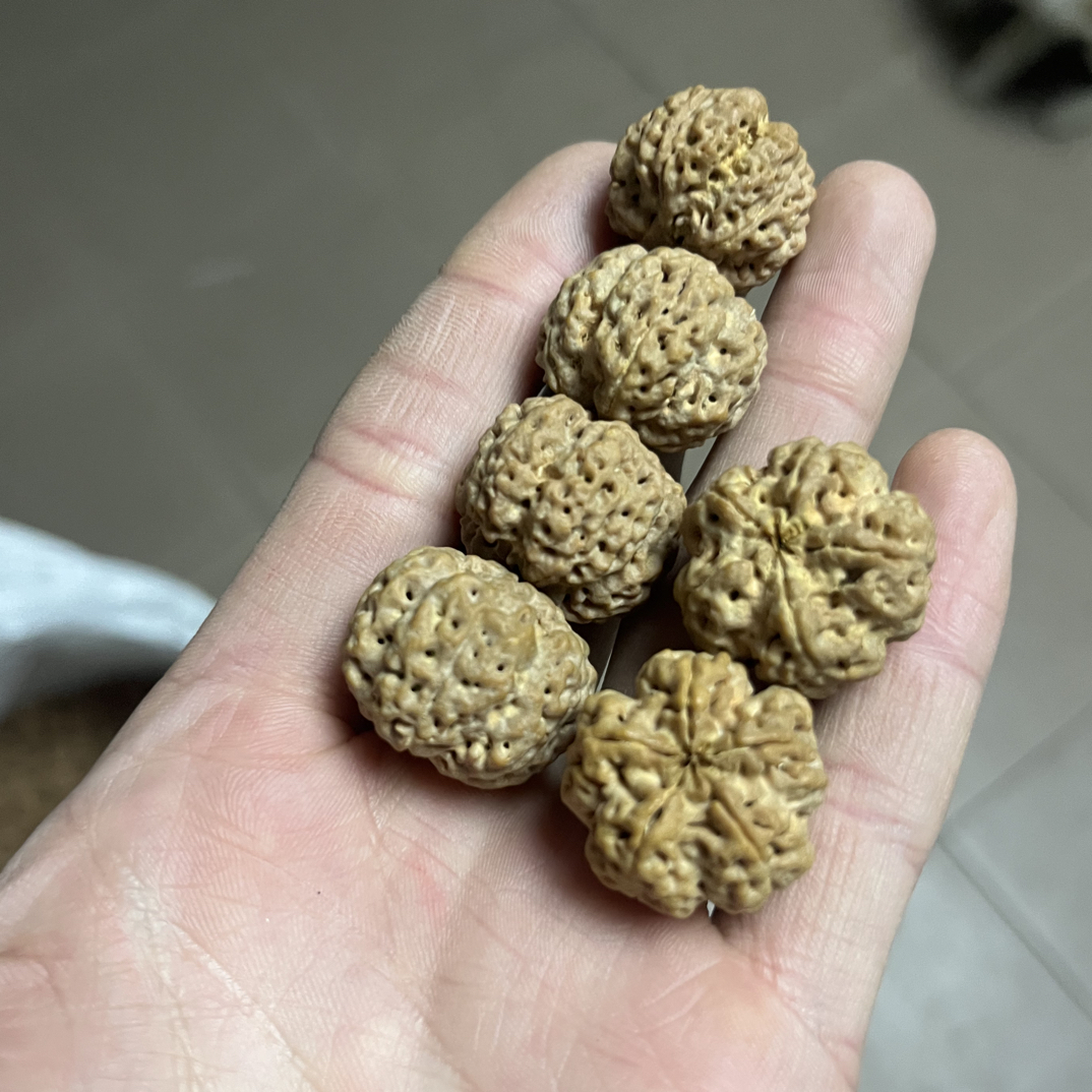 25尺寸次头梅花大金刚菩提子