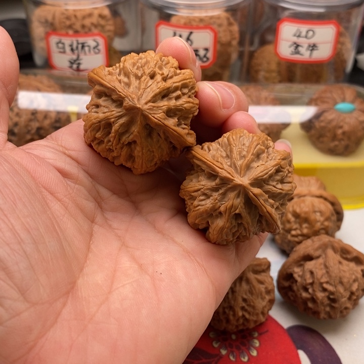 文玩核桃吊坠38粗筋