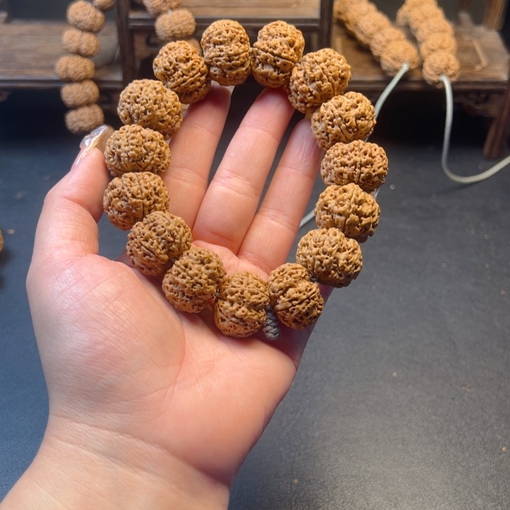 金刚菩提手串廖*博23尺寸金刚菩提