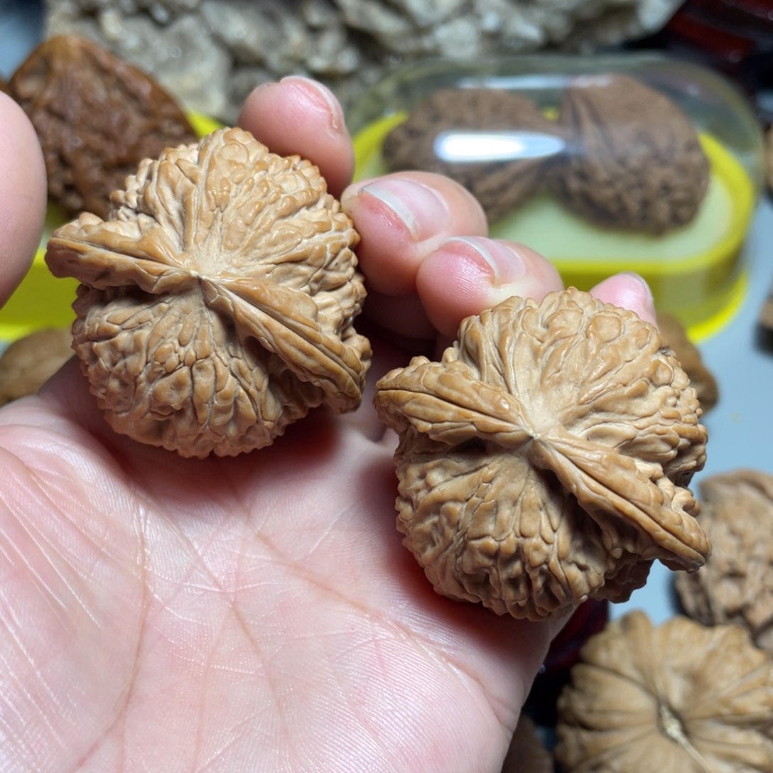 核桃手串/手链精品白狮子44