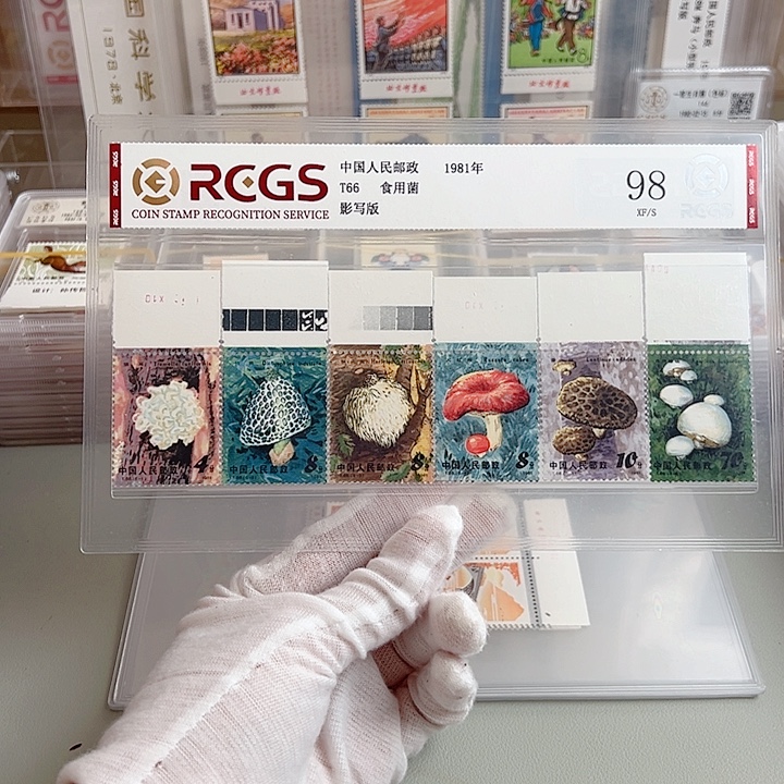 T66上边纸评级98邮票