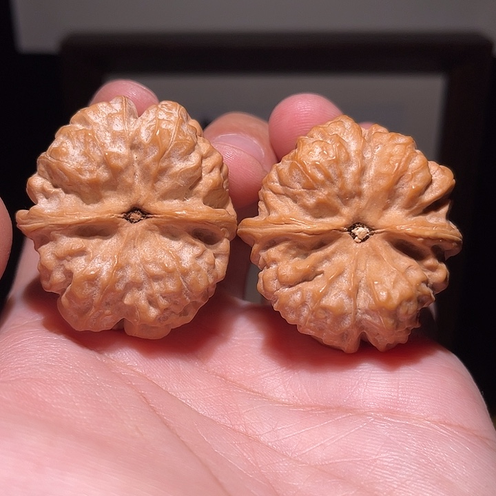 手串/手链核桃24025