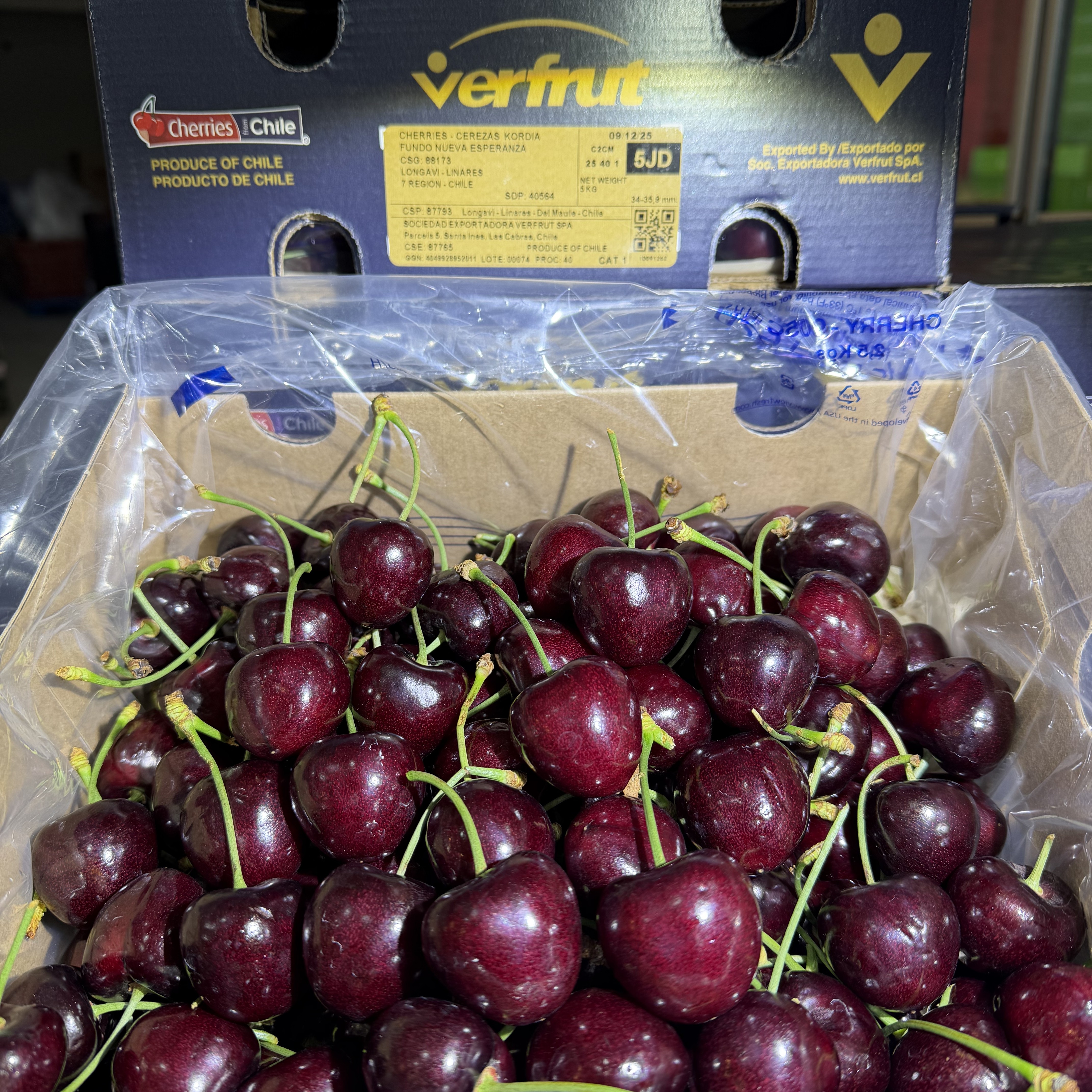 智利-空运！科迪亚-车厘子-5J原箱-5斤净重！内附果径卡！顺丰快递