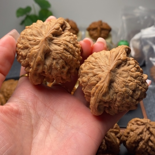 吊坠文玩核桃全品54龙鼎