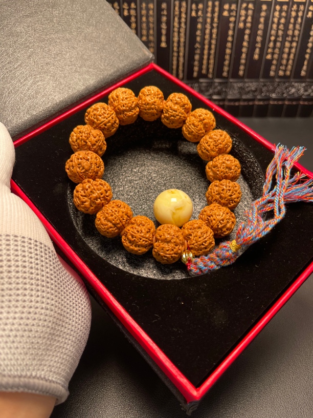 高端定制大金刚六掰（21号）