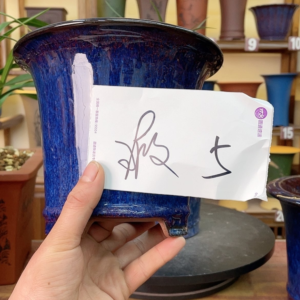 【闪购商品】紫砂花盆兰花85585478565888558