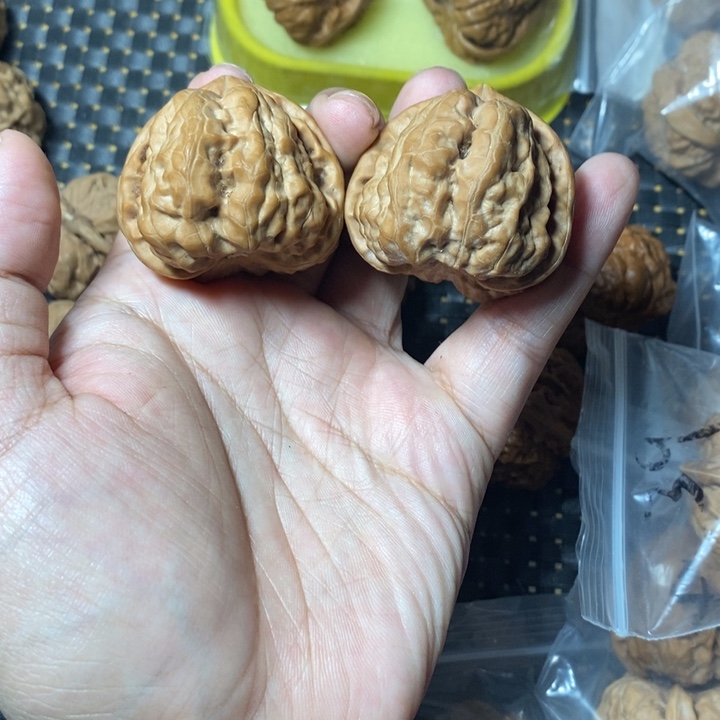 把件文玩核桃蛤蟆42全