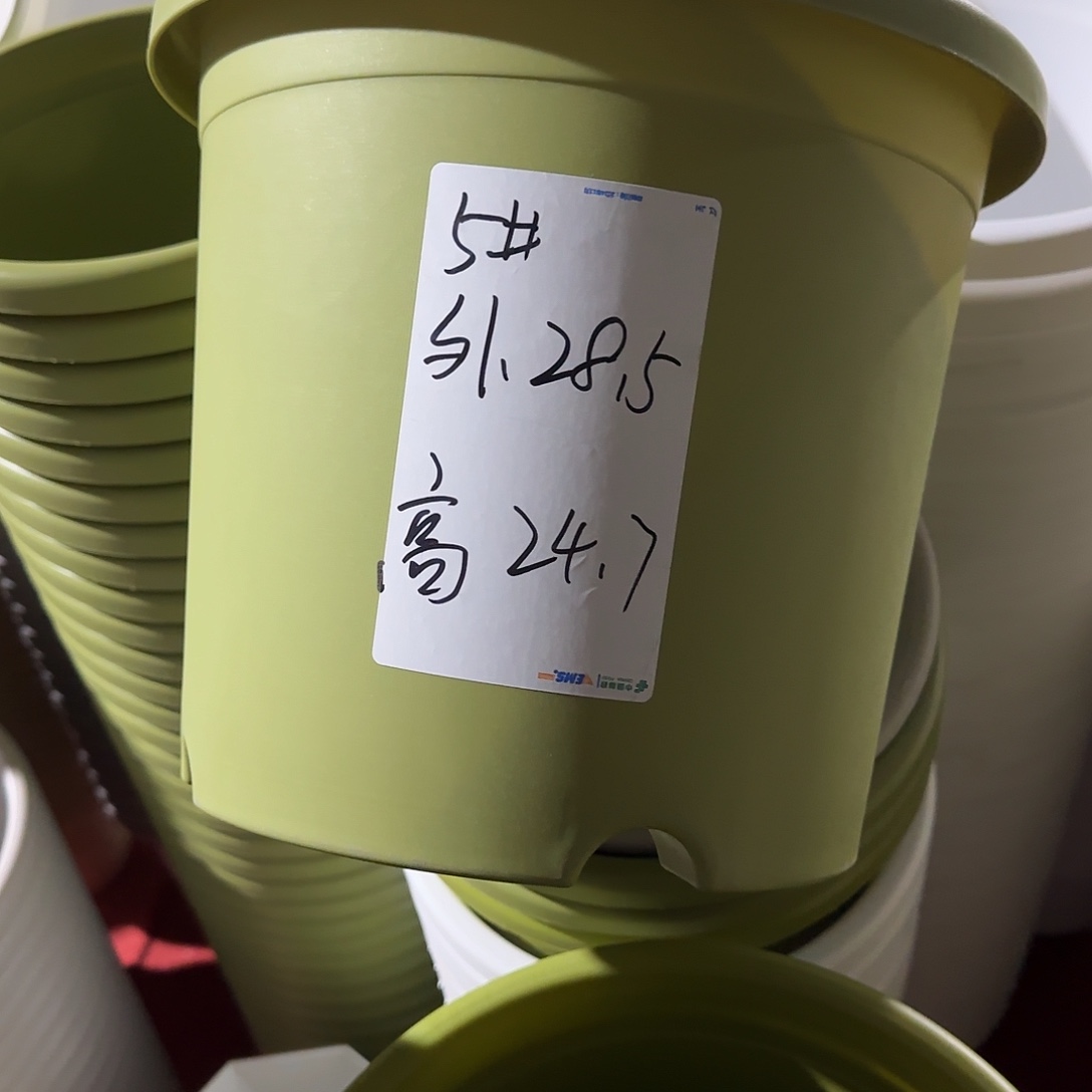 树脂四季5号无托6个果绿微瑕