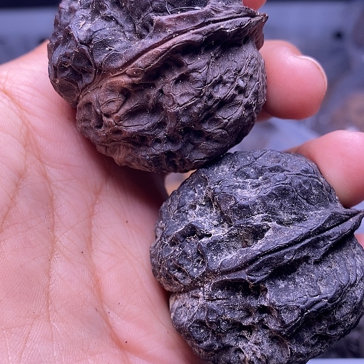 把件文玩核桃   31