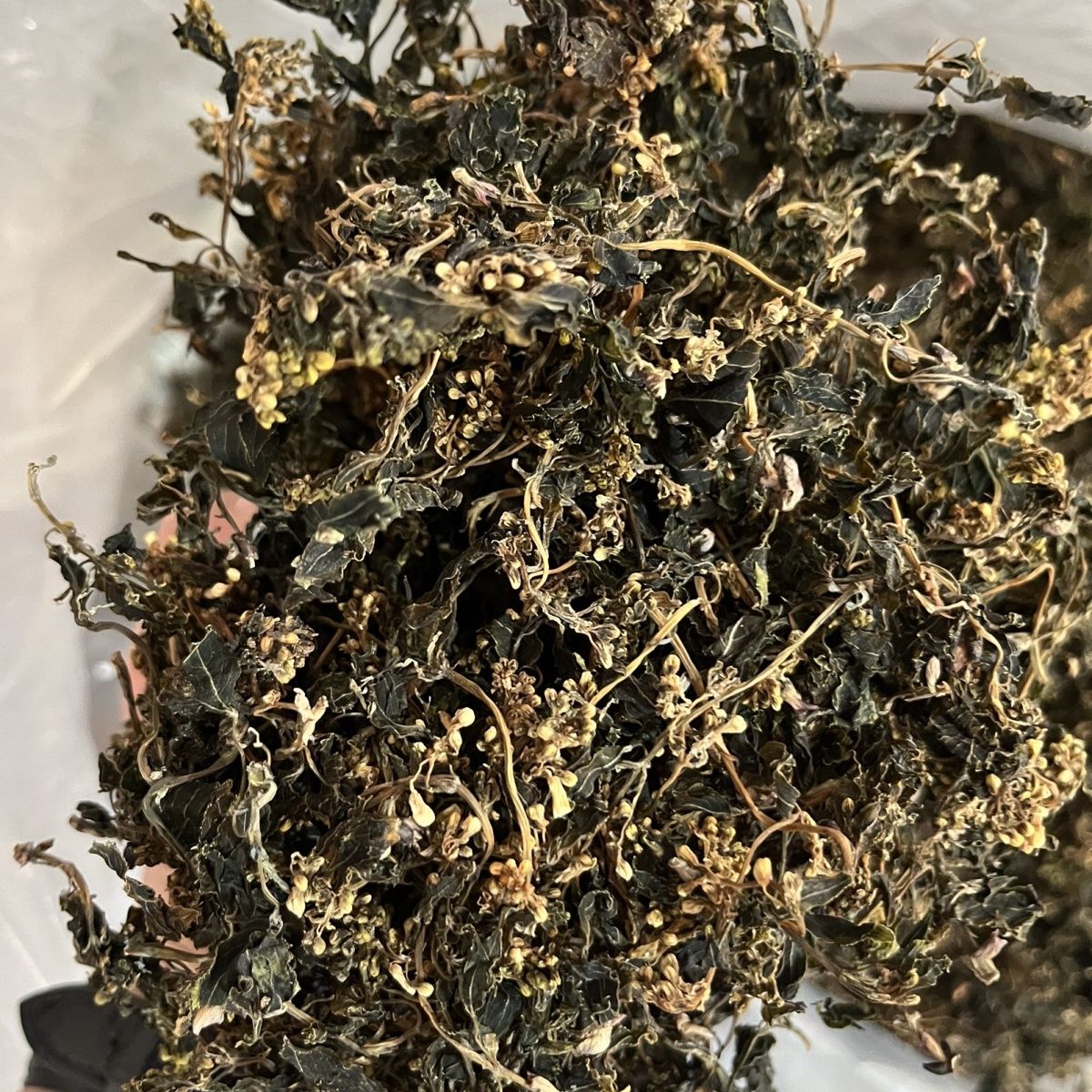 大山里的山货   树花菜