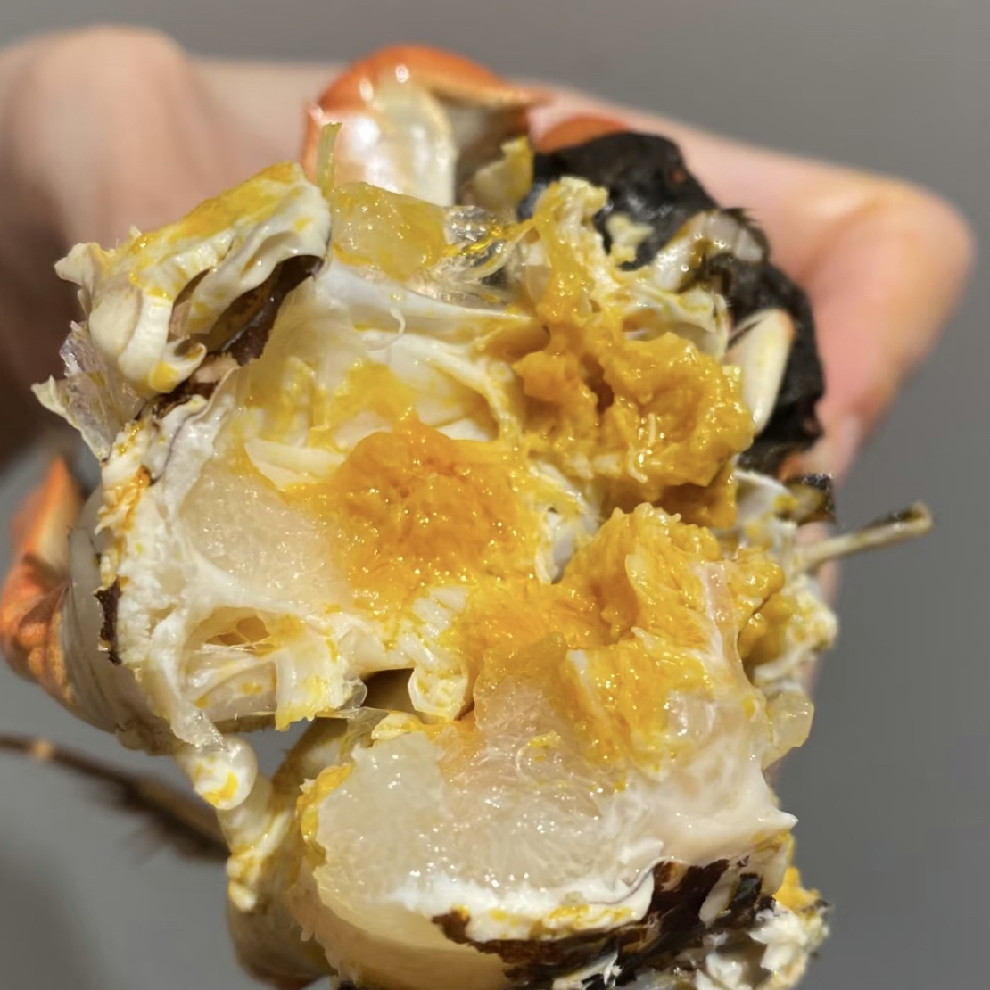 【鲜活大闸蟹】活蟹全公蟹掉爪3斤/平均3两/10只左右