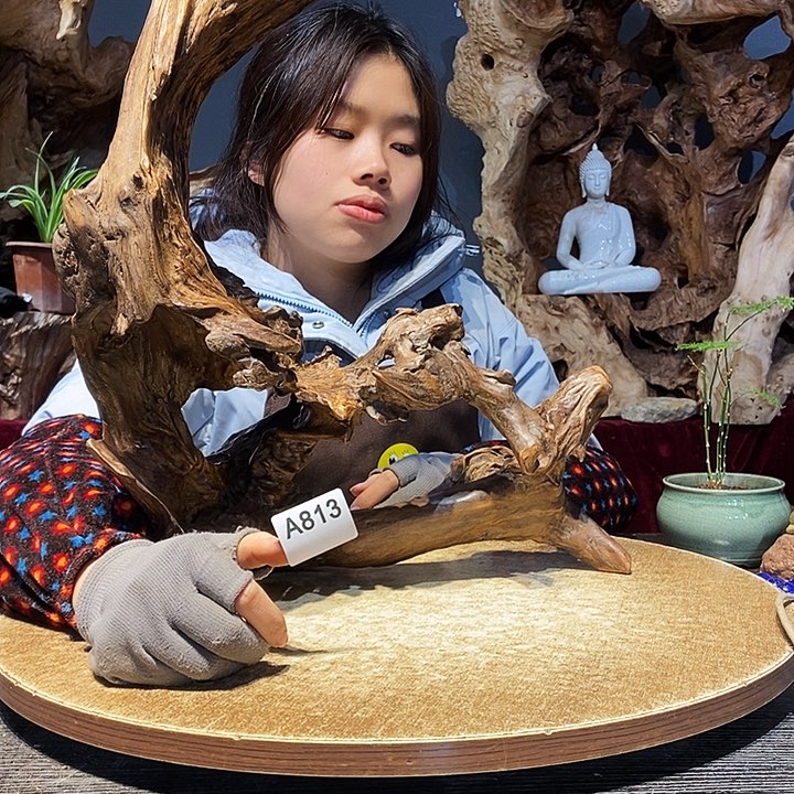 聂****?813株木随行的小根艺