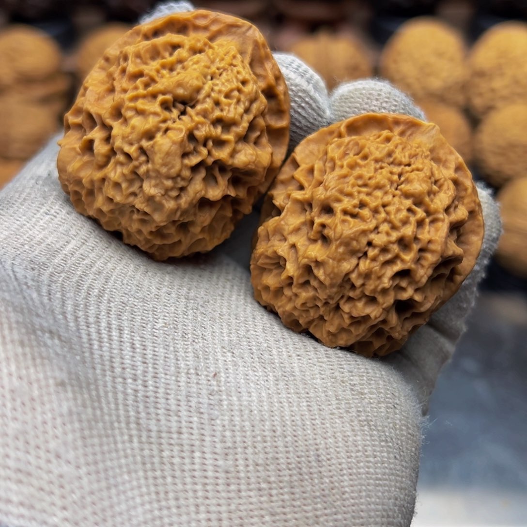 41尺寸三星堆 一物一图