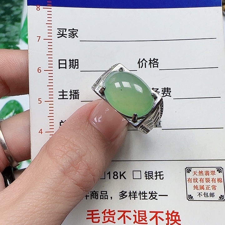 翡翠颈饰银S925镶嵌天然
