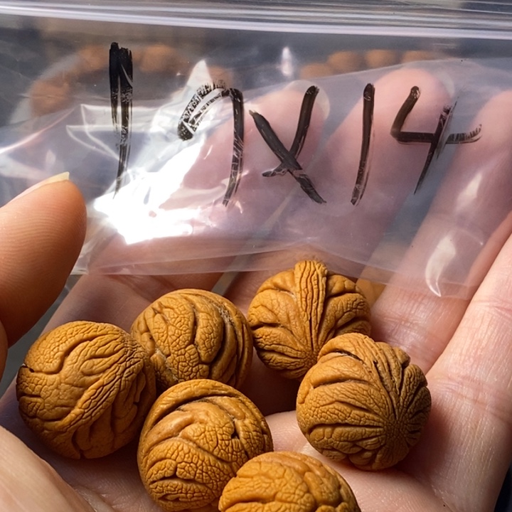 文玩核桃手串秦岭野生龙纹桃核19